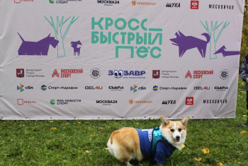 Скорая помощь Лужники